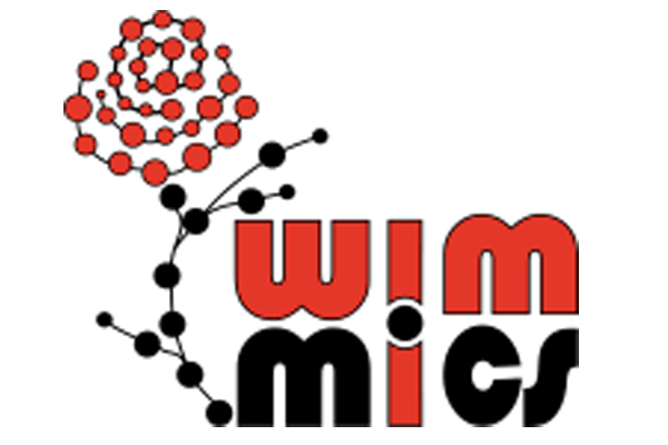 Equipe WIMMICS
